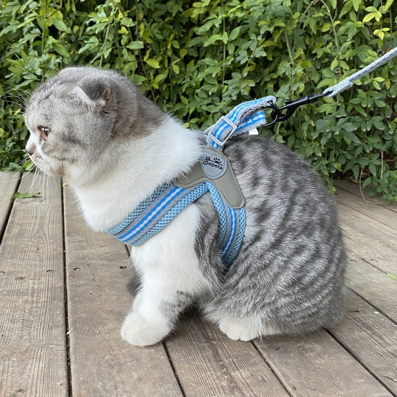 Outdoor Walking Puppy Cat Harnesses