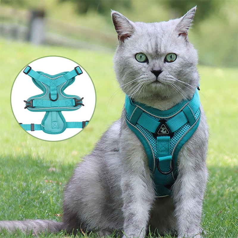 Cat Harness Vest