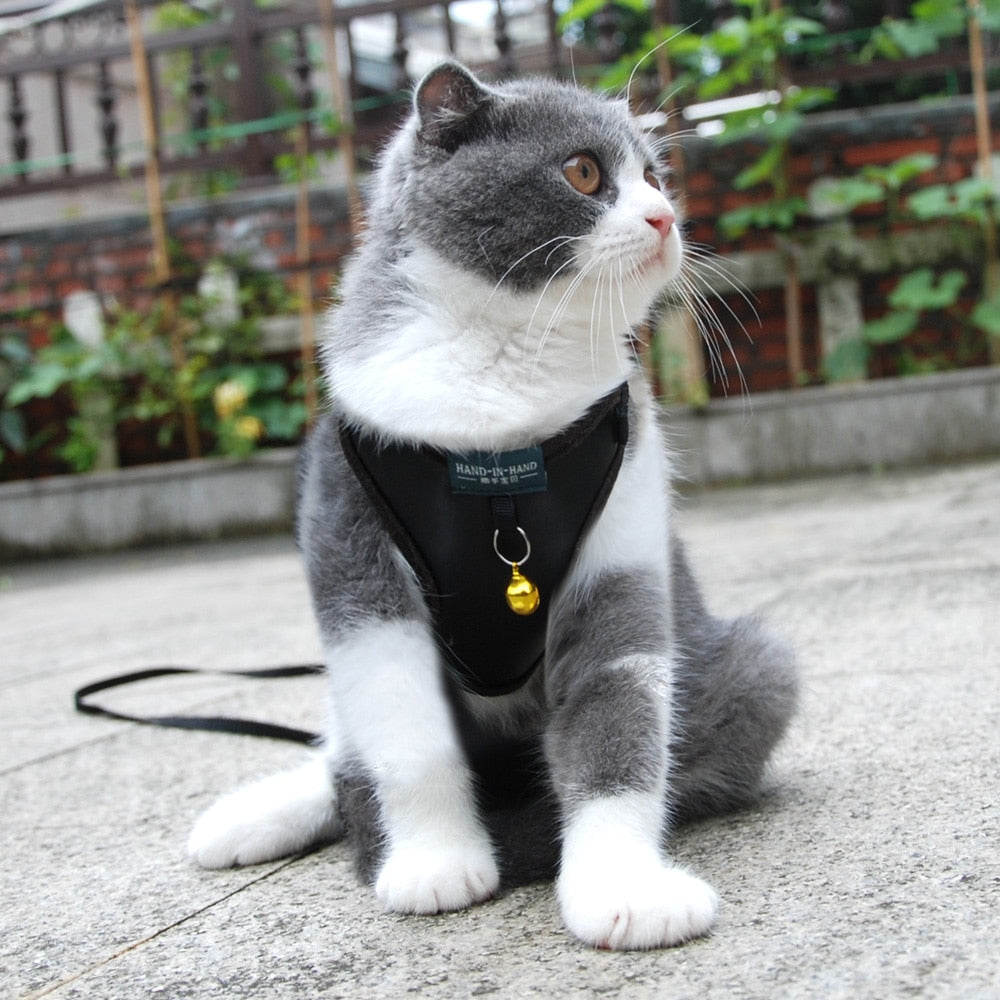 Pet Cat Harness Vest Leash