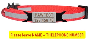 Reflective Cat Safety Buckle Collar