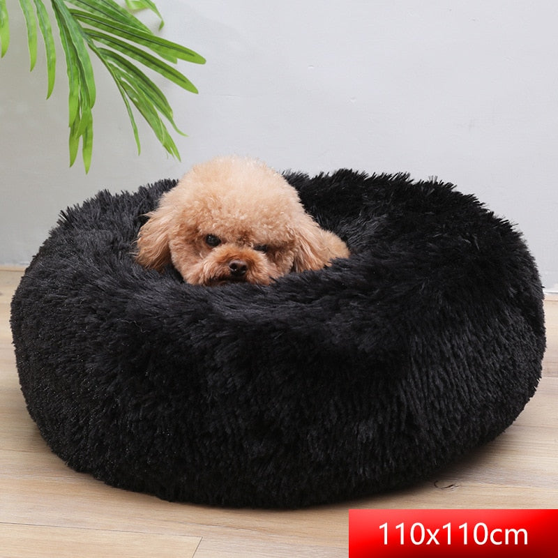 Comfy Calming Dog Bed