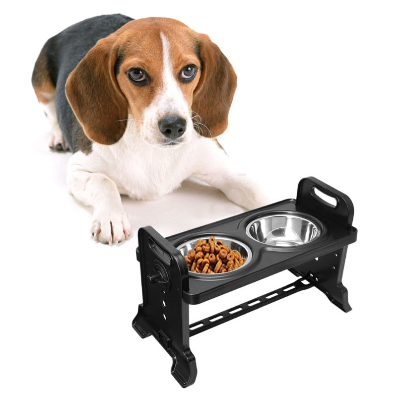 Anti-Slip Elevated Double Dog Bowls