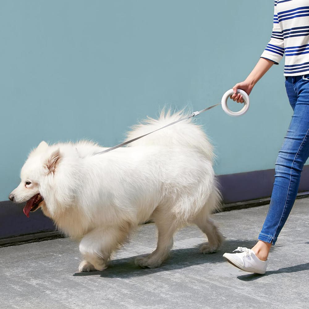 Luxury Retractable Leashes