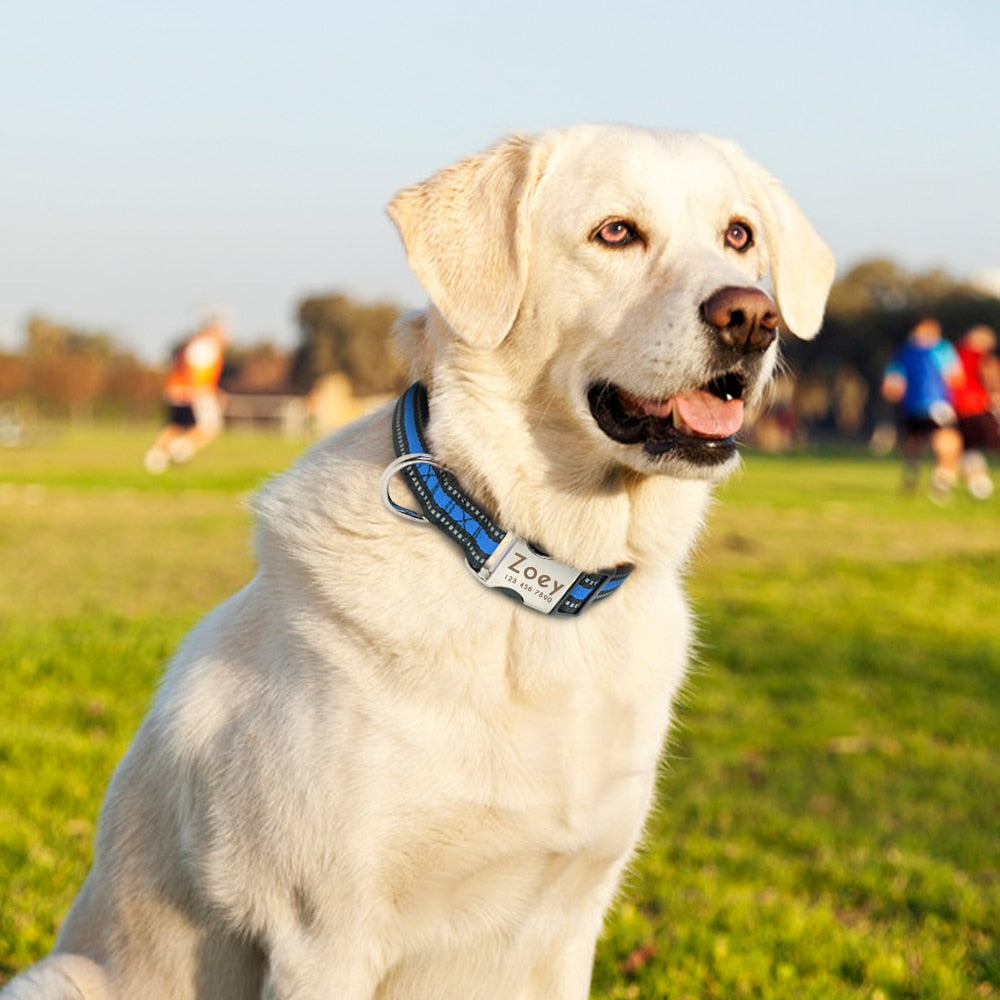 Personalized Dog Reflective Collar