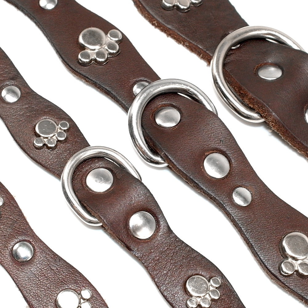 Genuine Leather Dog Collar