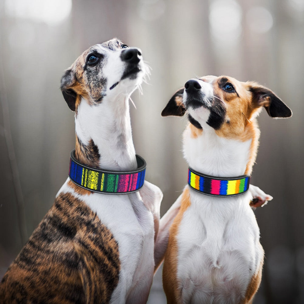 Reflective Pet Dogs Collars