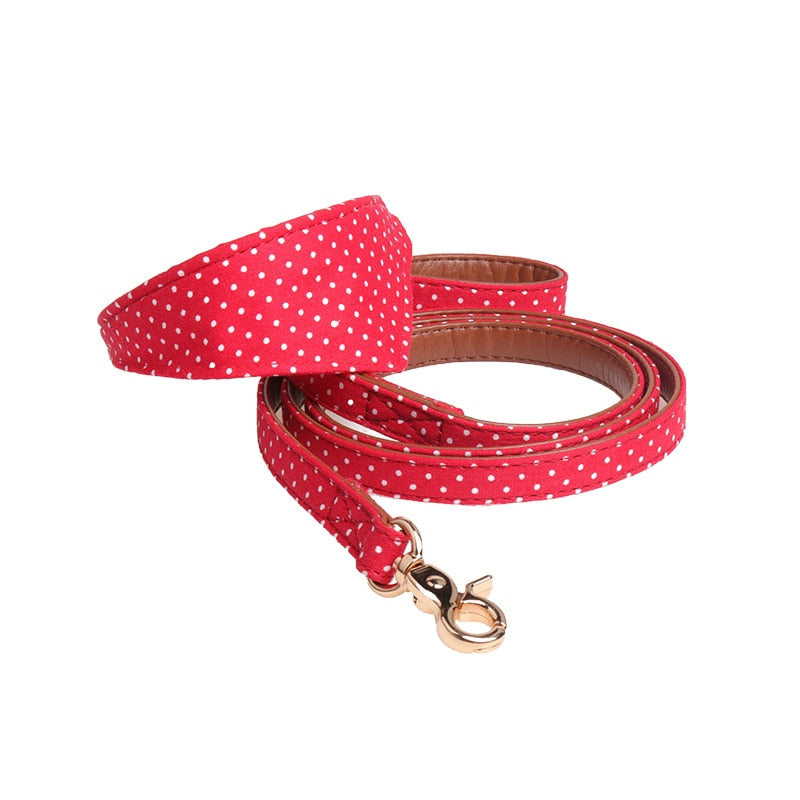 Bandana Leather Leash Bow Cat Collar