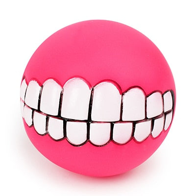 Dog Treat Holder Ball Chew Toy