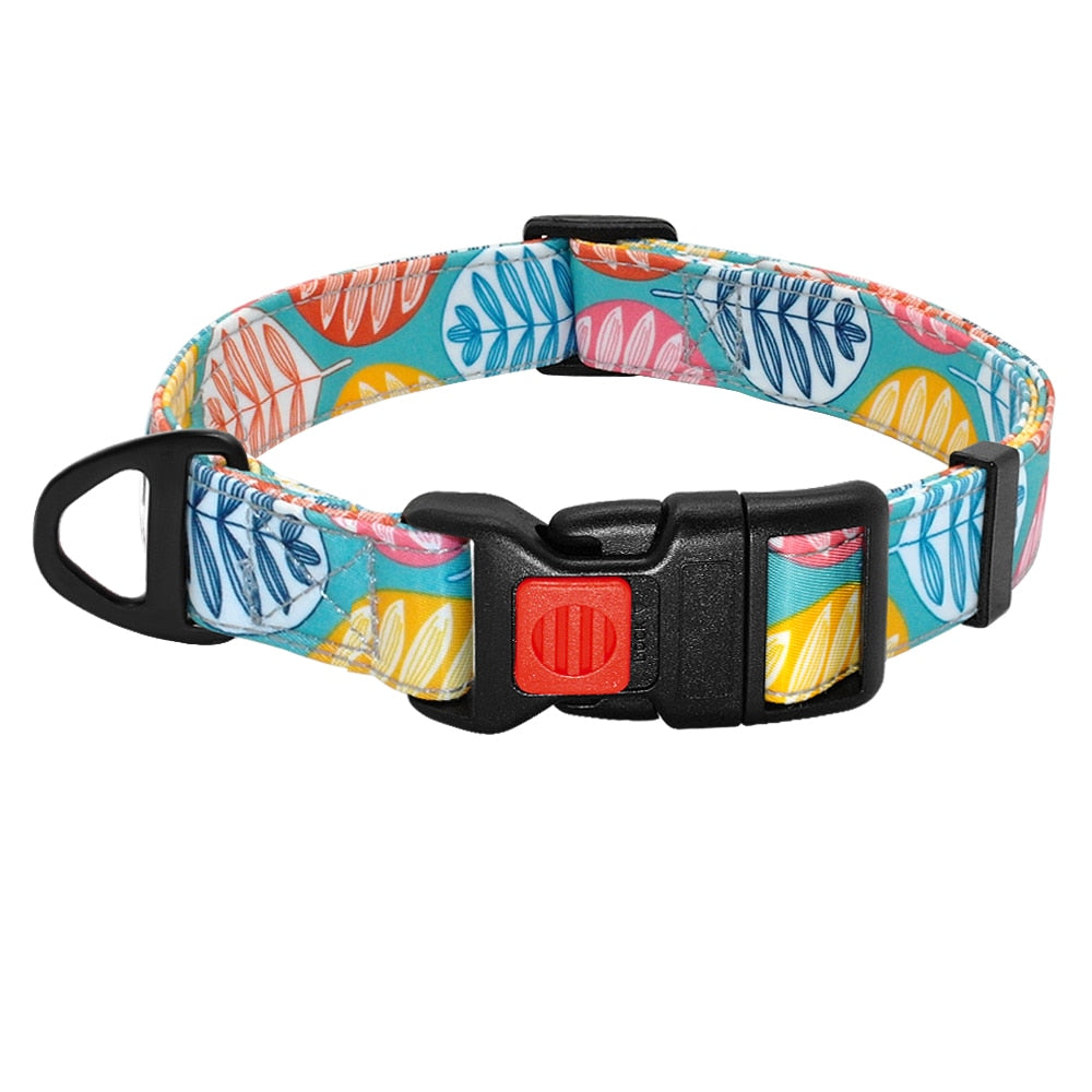 Dog Printed Collar