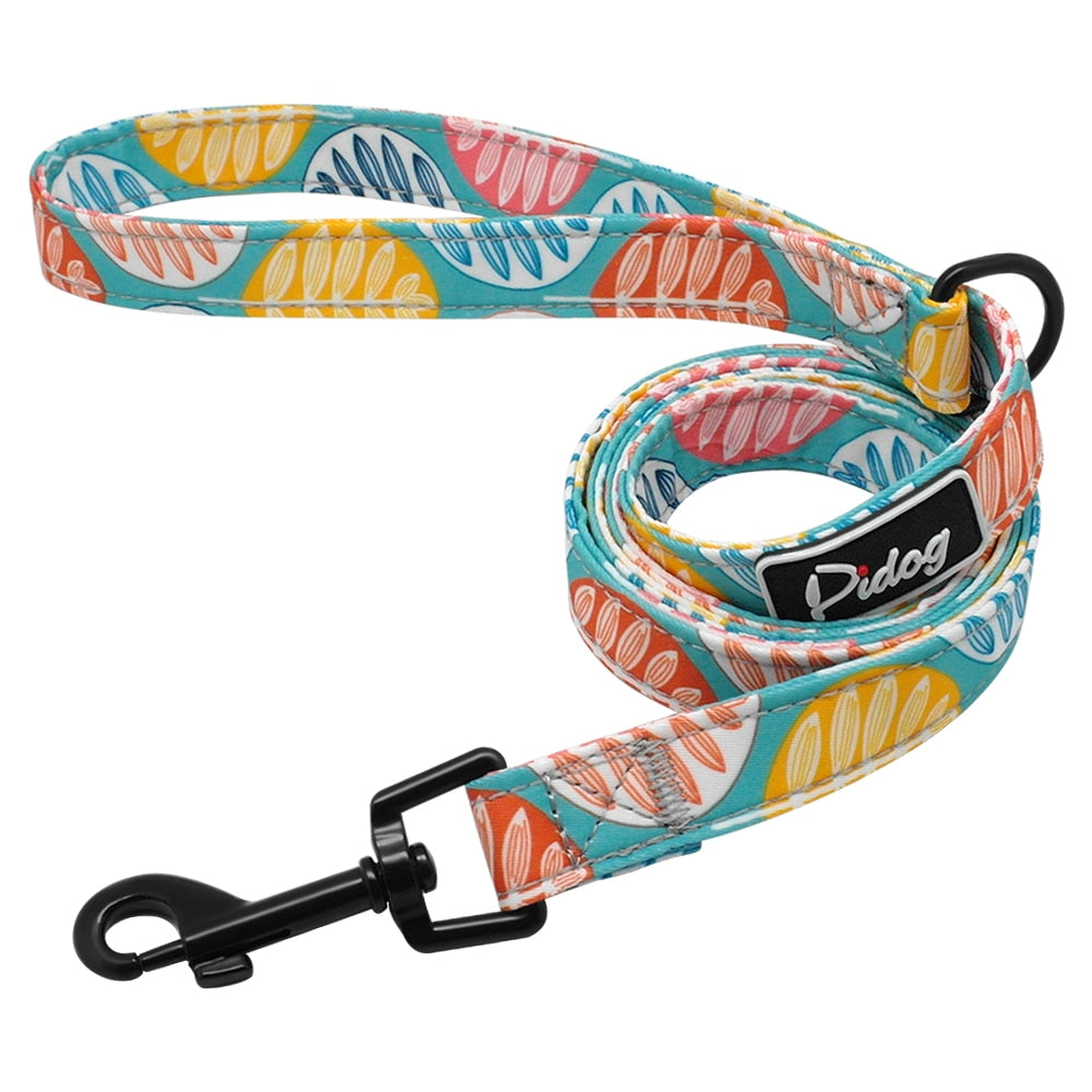 Dog Printed Collar