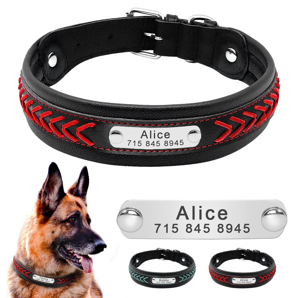 Dog Personalized Tag Collar