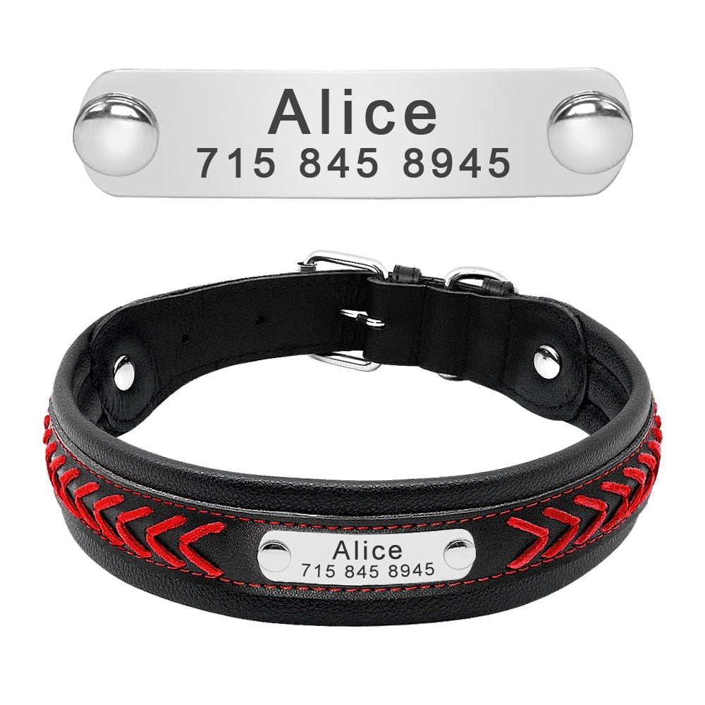 Dog Personalized Tag Collar