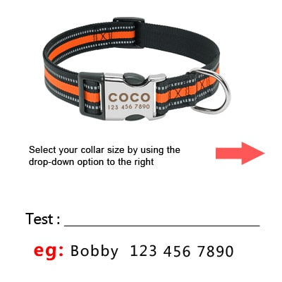 Personalized Dog Reflective Collar