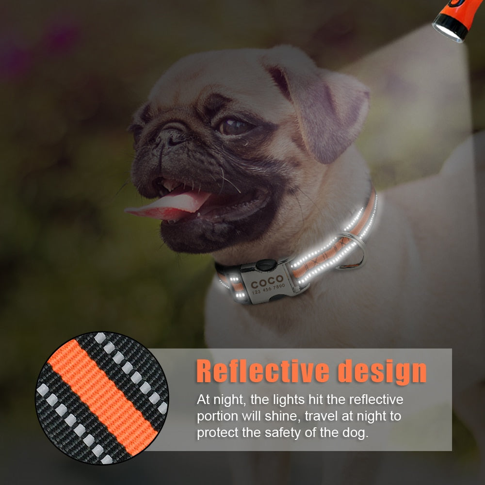 Personalized Nylon Dog Collar