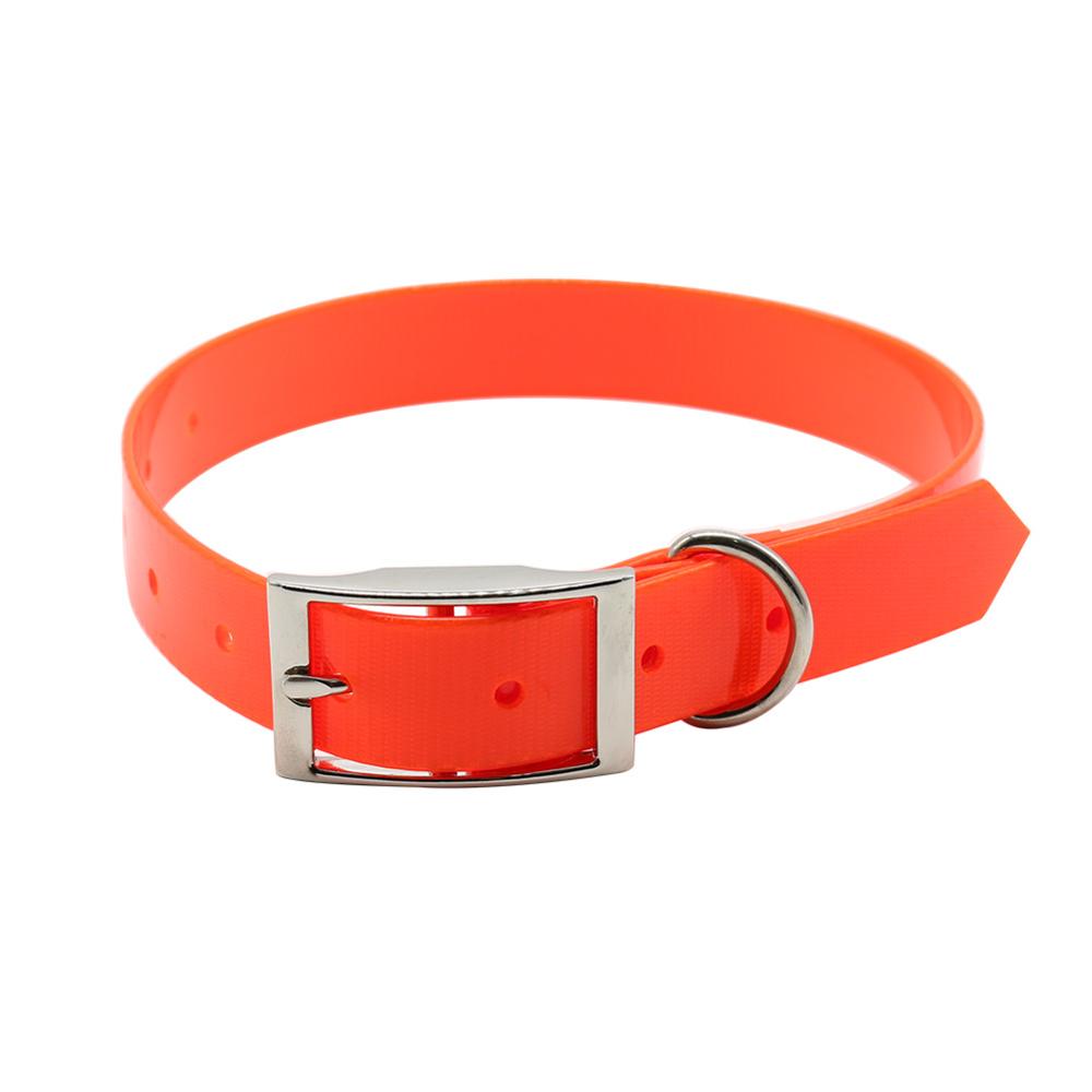 New Fashion Pet Dog Collar