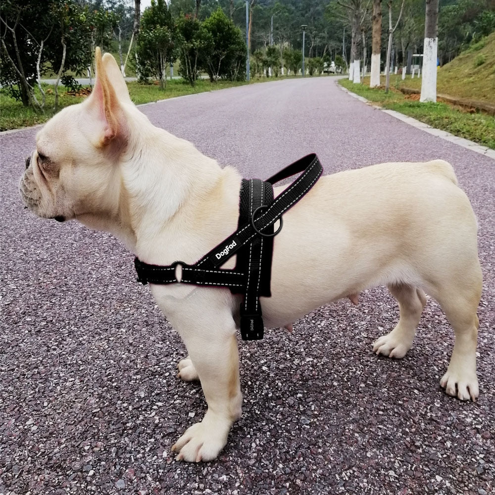 Easy Walking Dog Harness