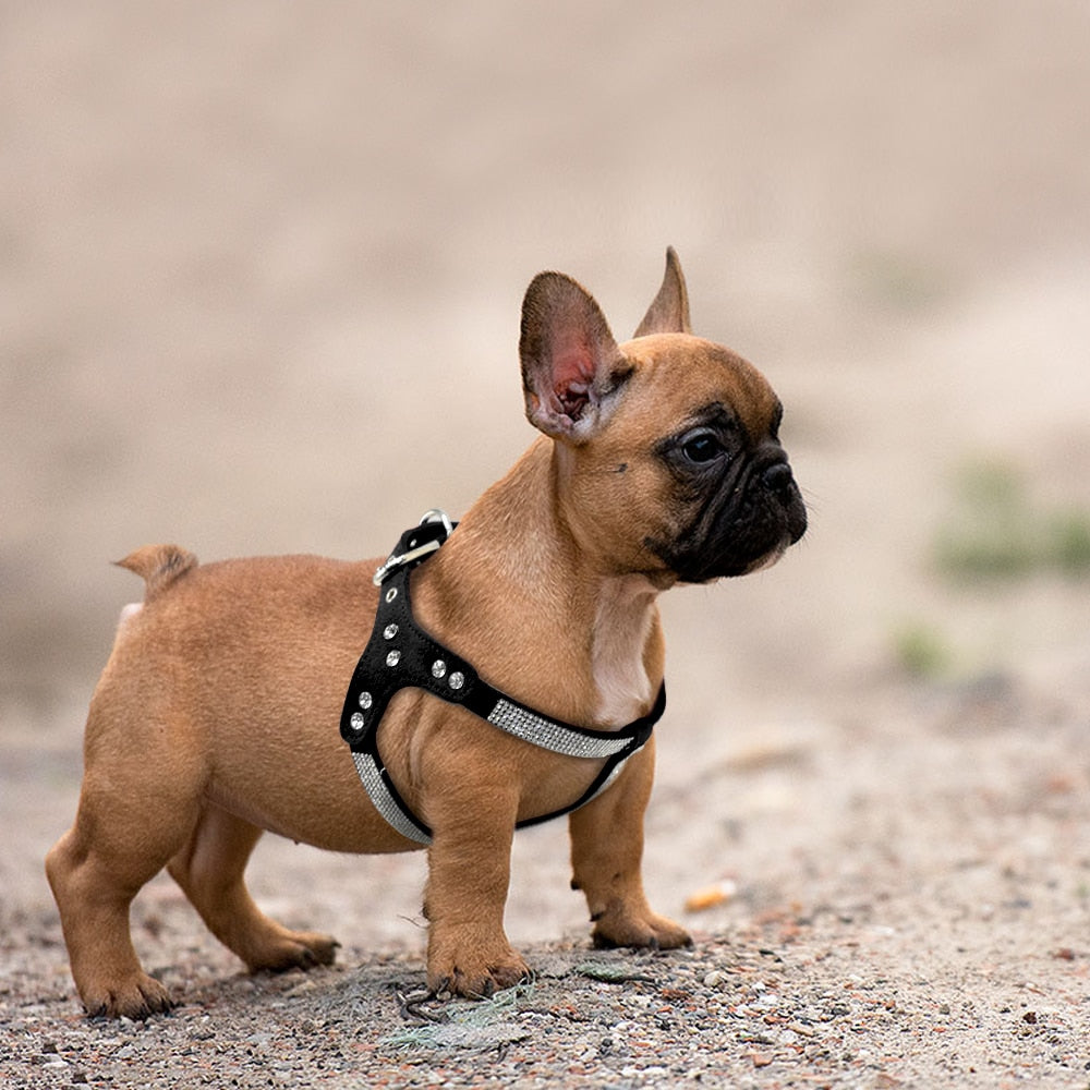 Puppy Dog Harness