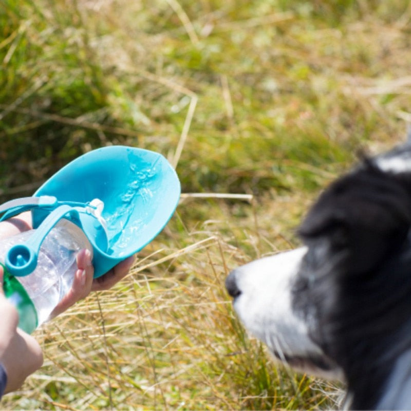 Sport Portable Pet Dog Water Bottle