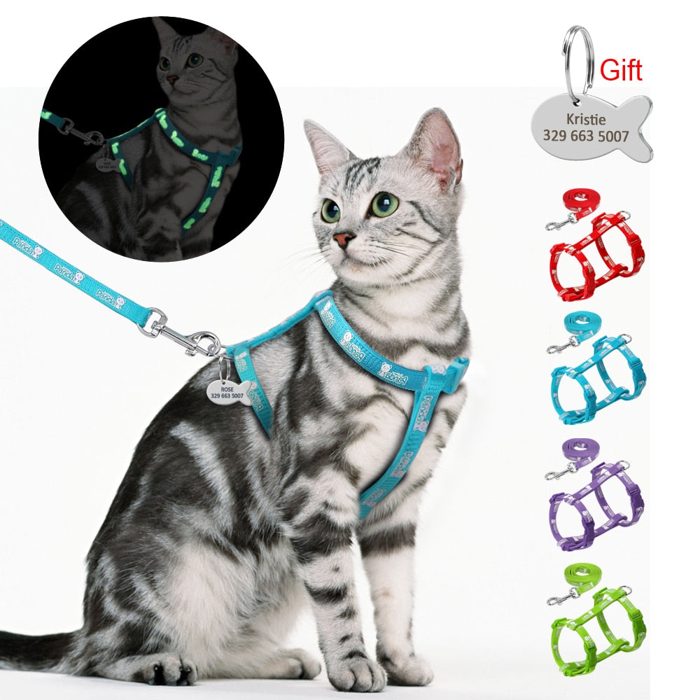 Nylon Cat Harness and Leash Set