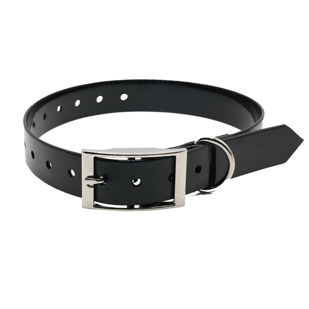 New Fashion Pet Dog Collar