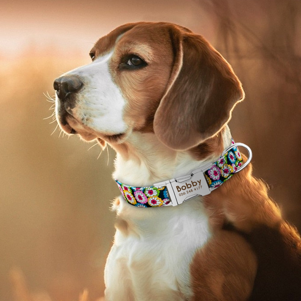 Custom Dog ID Tag Collar