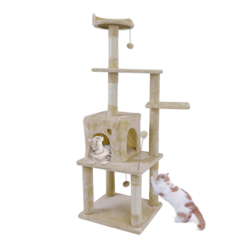 Cat Scratching Climbing Tree