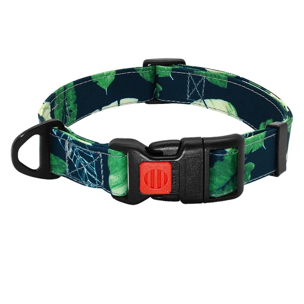 Dog Printed Collar