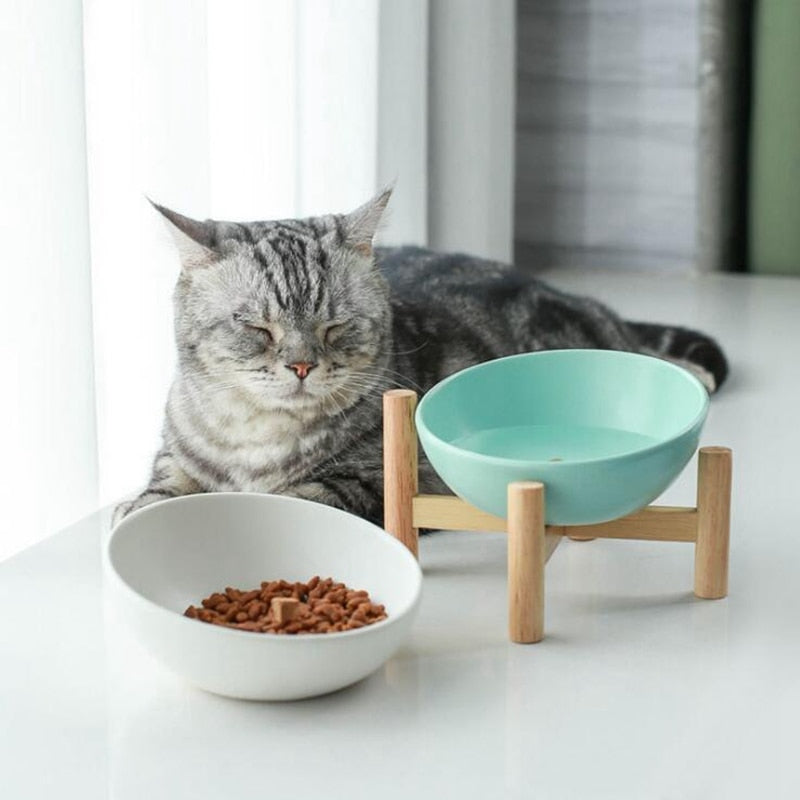 Newest Design Ceramic Cat Food Bowl