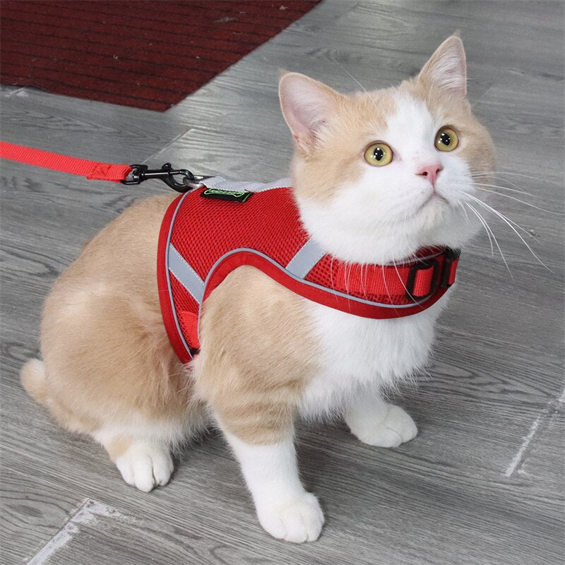 Reflective Cat Harness