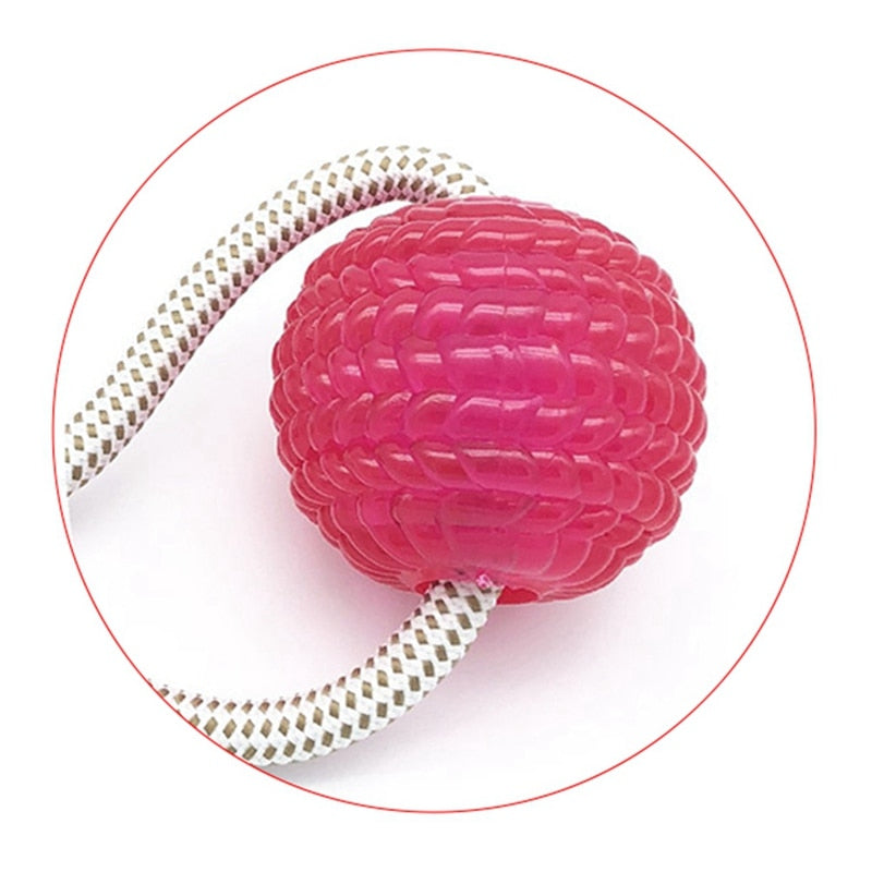 Dog Cup Suction Push Ball Toys