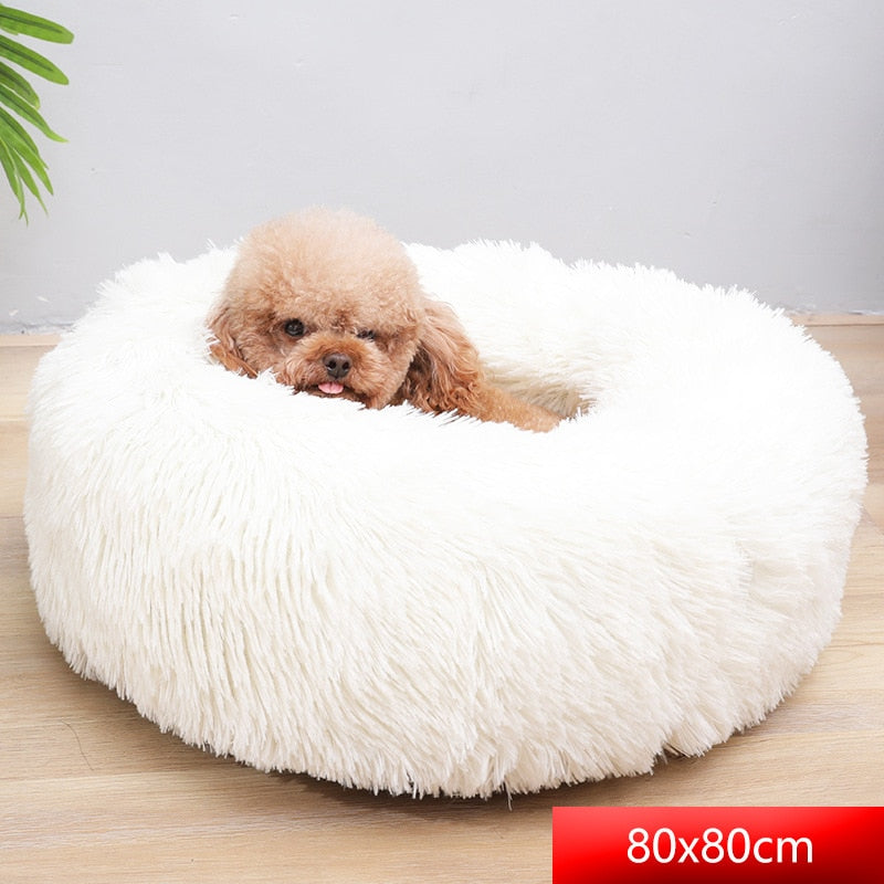 Comfy Calming Dog Bed