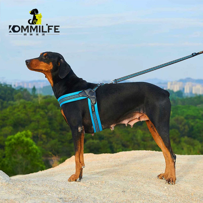 Breathable Nylon Mesh Dog Harness