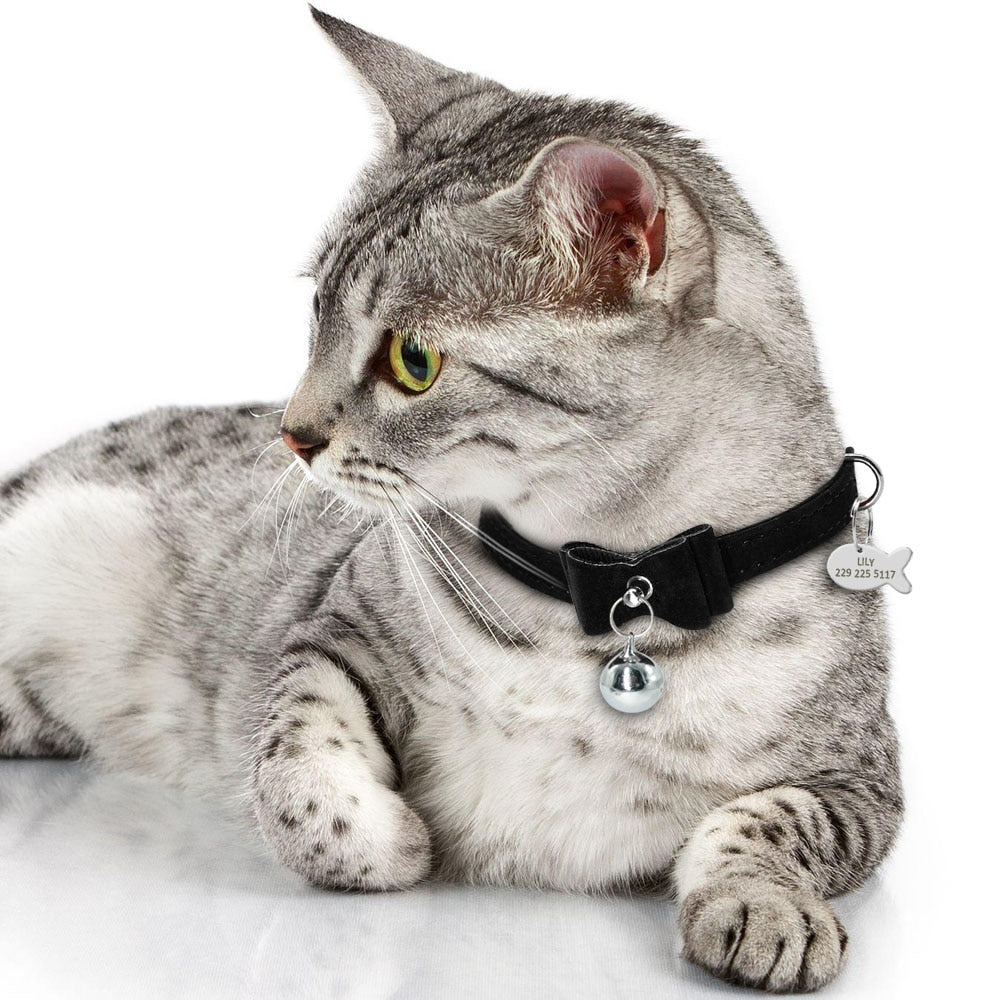 Cat Kitten ID Tag Bowknot Collar