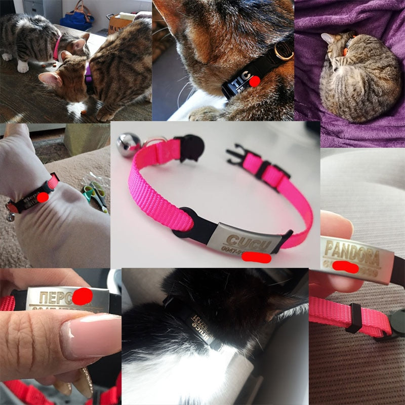 ID Tag Cat Bell Collar