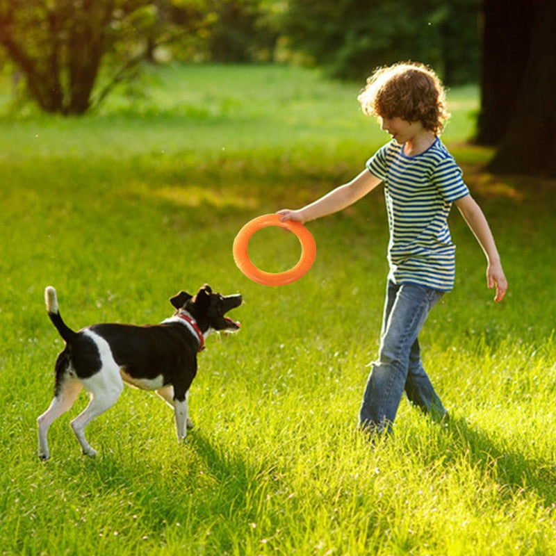 Dogs Training Flying Ring Toy