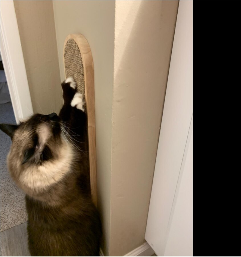 Wall Mounted Cat Scratching Post