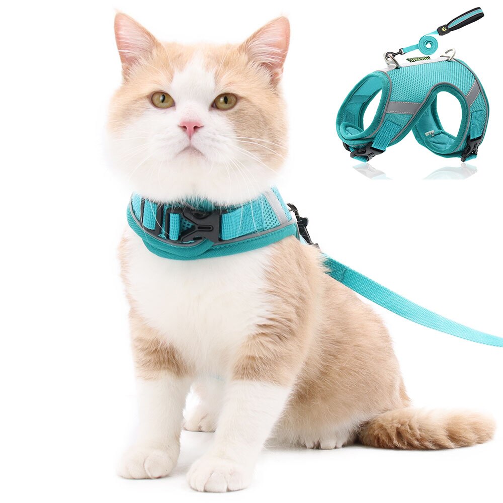 Cat Harness and Leash Set