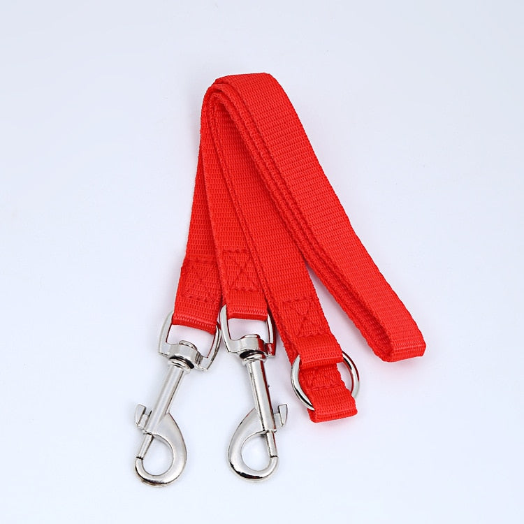 Double Twin Dog Leash