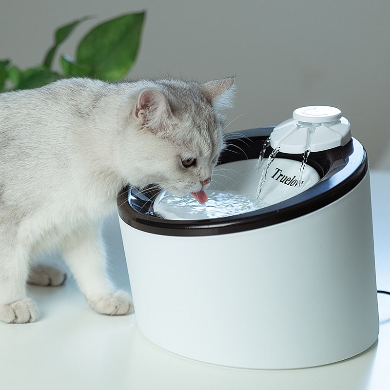 Automatic Cat Water Fountain