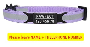 Reflective Cat Safety Buckle Collar