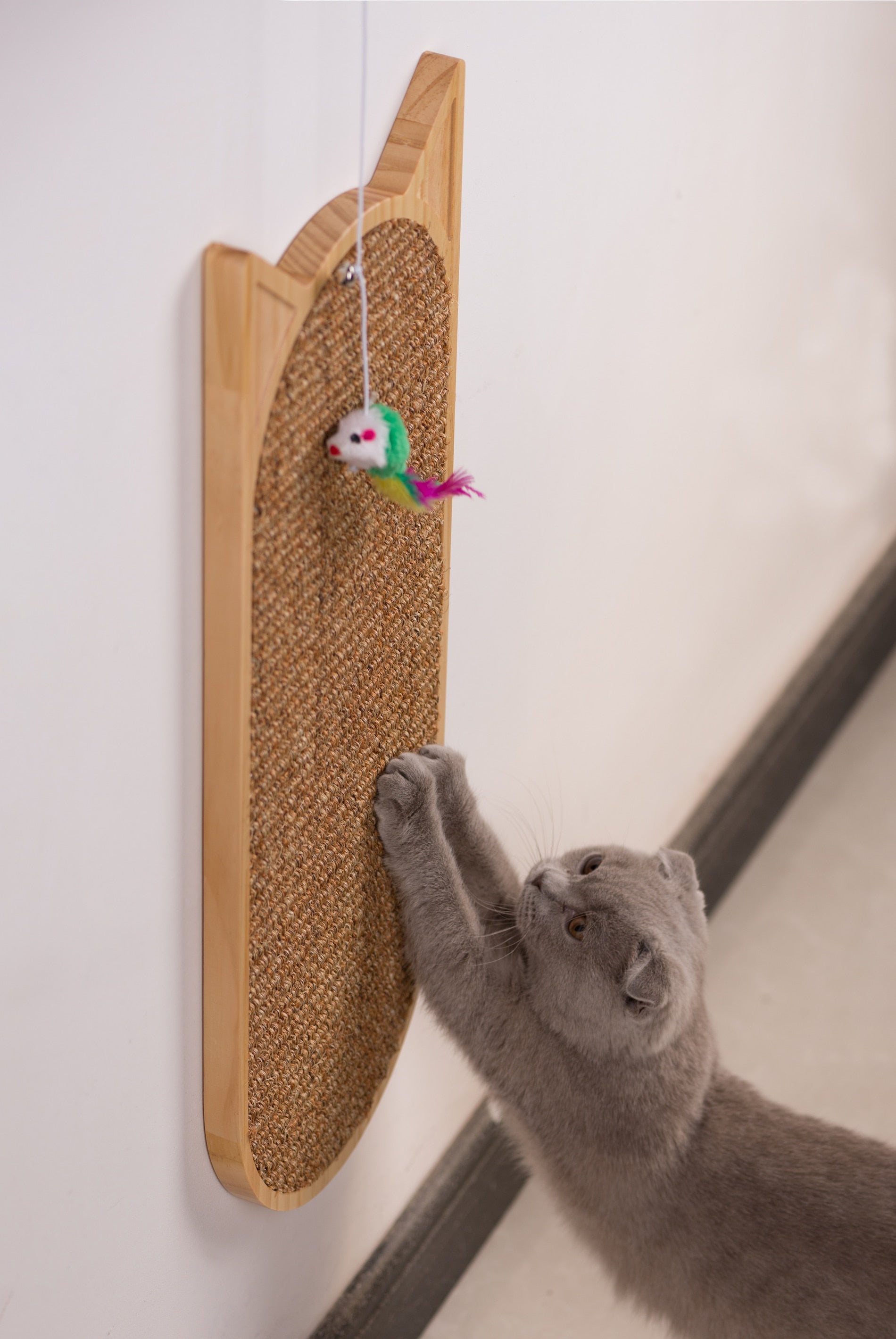 Wall Mounted Cat Scratching Post