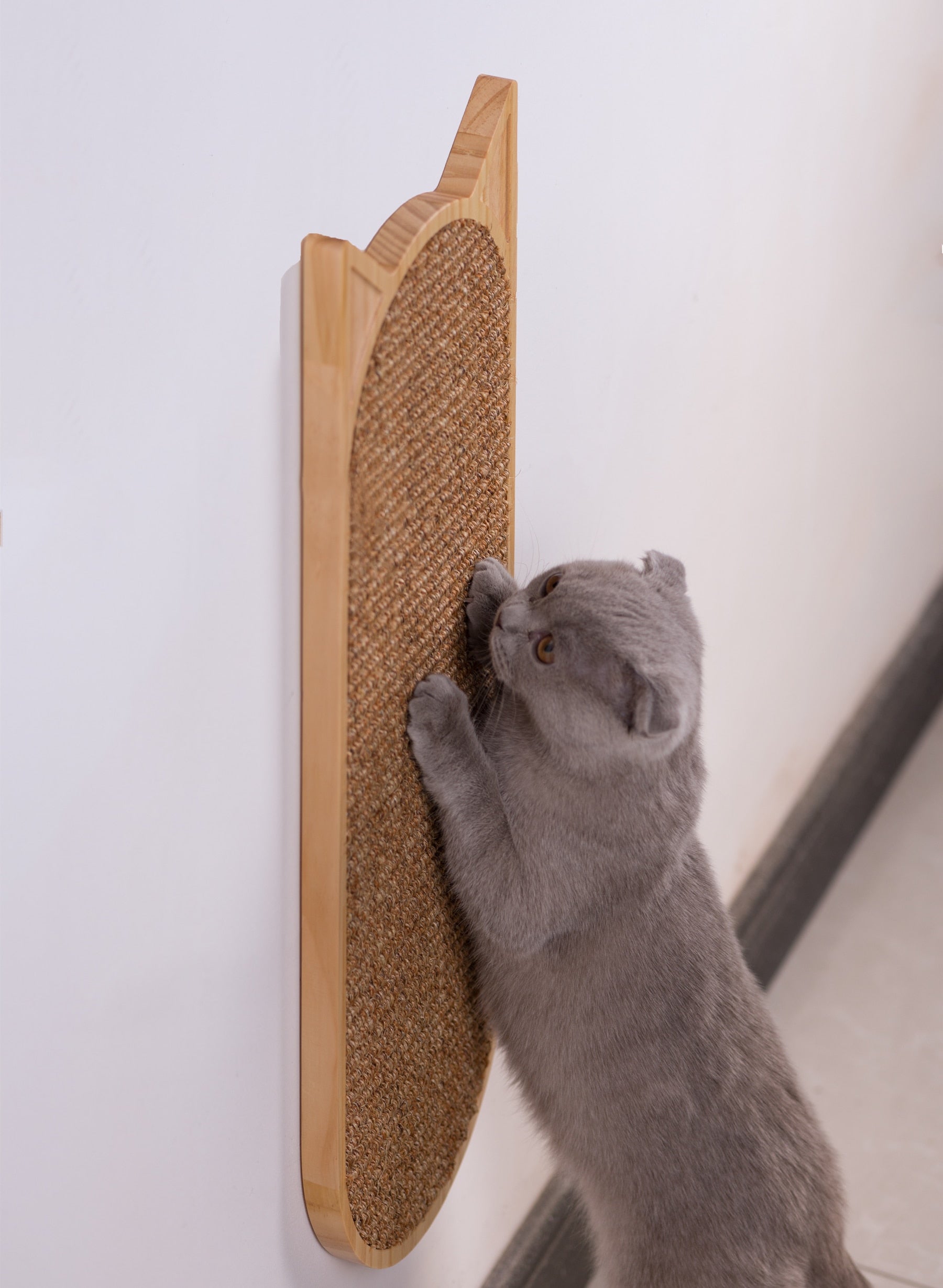 Wall Mounted Cat Scratching Post