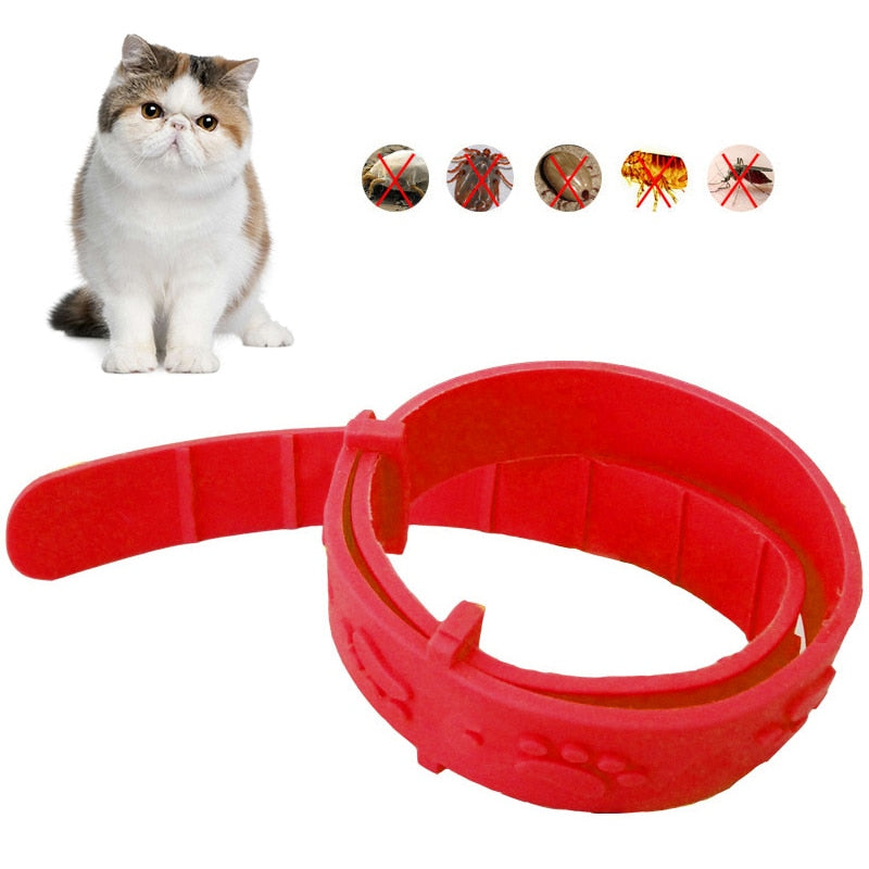 Cat Anti Flea Mite Tick Collar