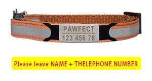 Reflective Cat Safety Buckle Collar