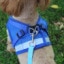 Dog Cat Harnesses Vest