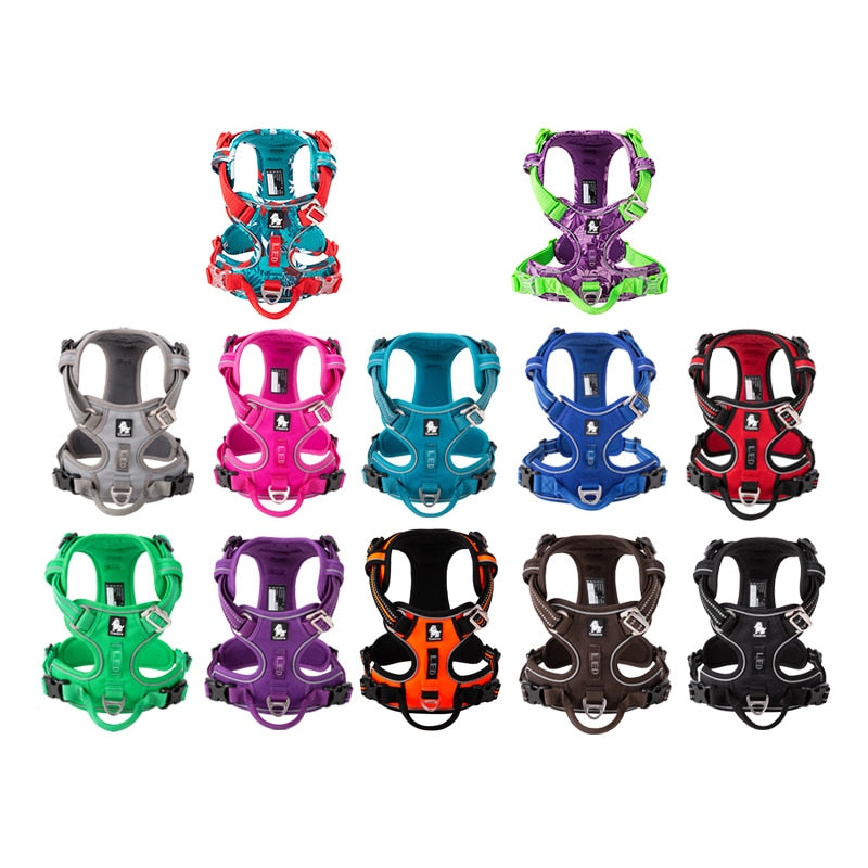 Vehicle Dog Harnesses