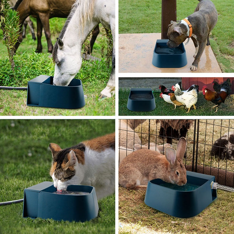 Automatic Pet Water Dispenser Bowl