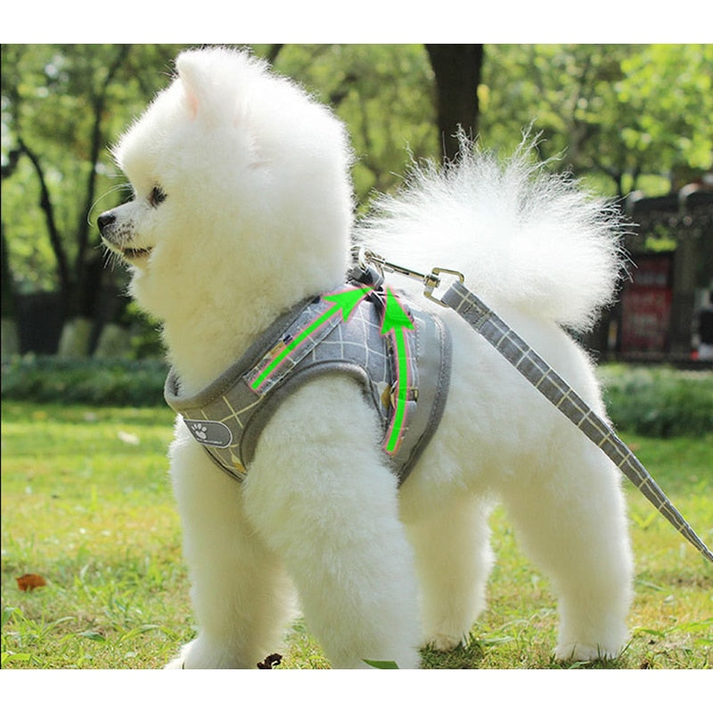 Dogs Harness And Leash Set