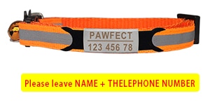 Reflective Cat Safety Buckle Collar