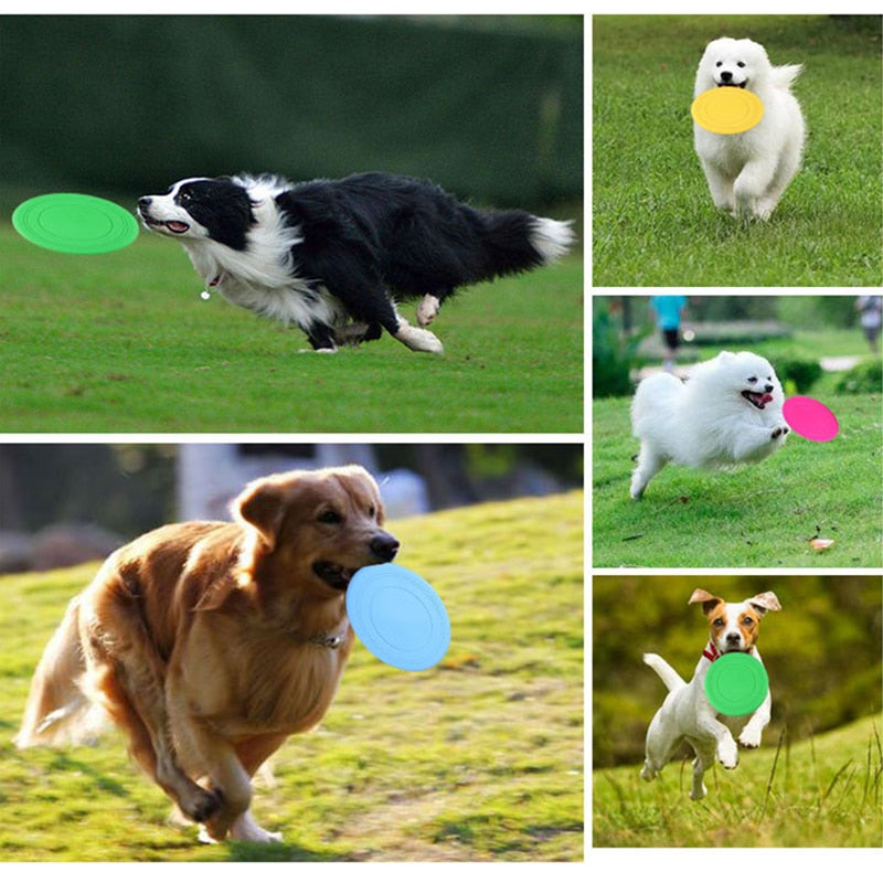 Dog Flying Disk Training Toys